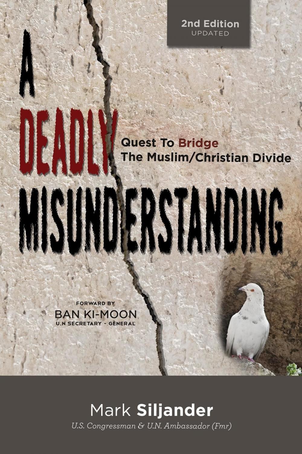 Big bigCover of A Deadly Misunderstanding