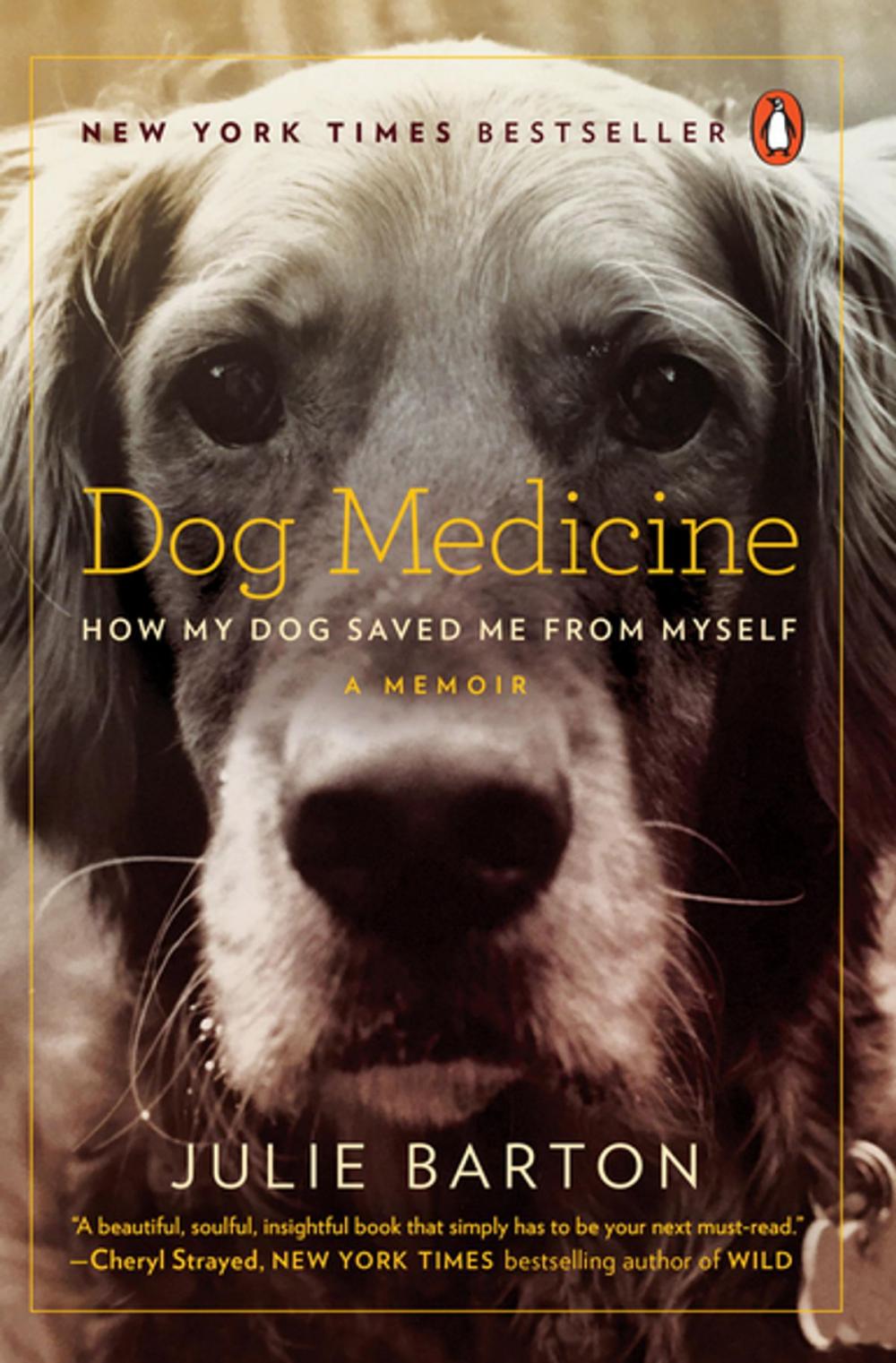 Big bigCover of Dog Medicine