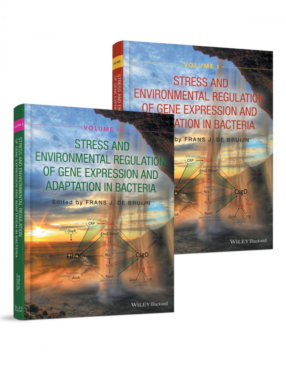 Big bigCover of Stress and Environmental Regulation of Gene Expression and Adaptation in Bacteria