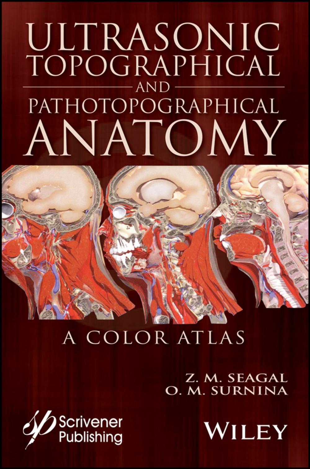 Big bigCover of Ultrasonic Topographical and Pathotopographical Anatomy