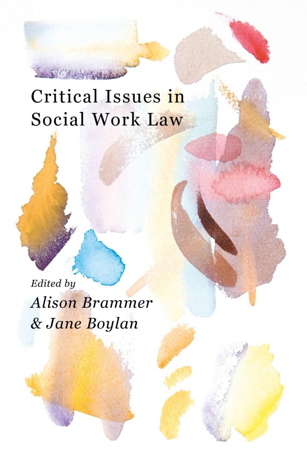 Big bigCover of Critical Issues in Social Work Law