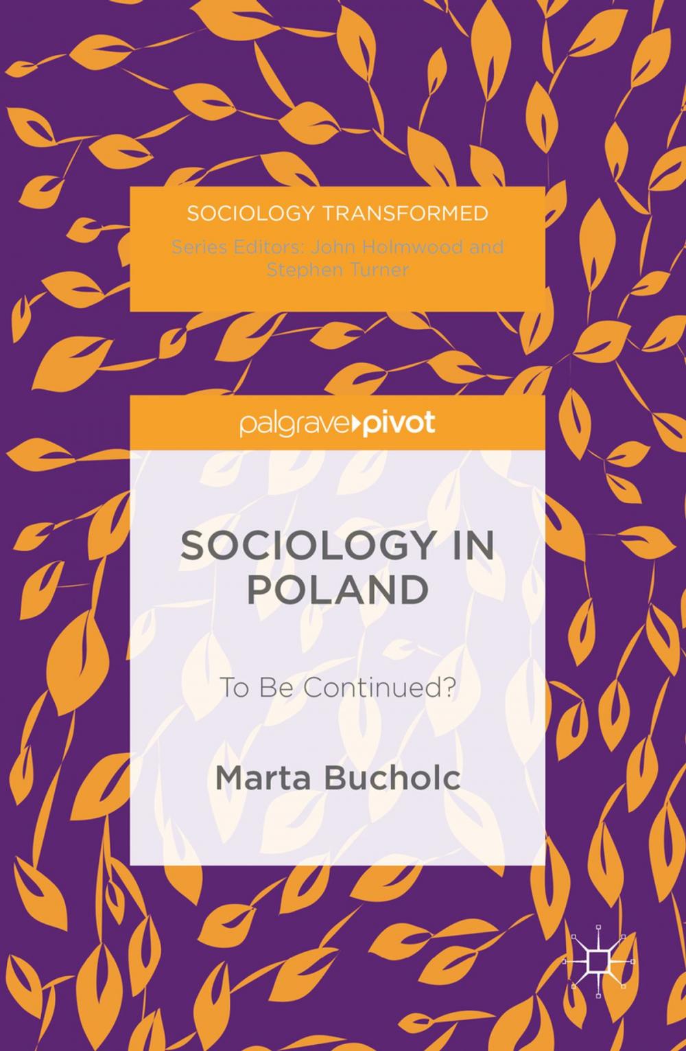 Big bigCover of Sociology in Poland