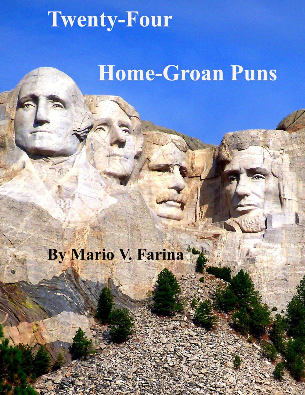 Big bigCover of Twenty-Four Home-Groan Puns