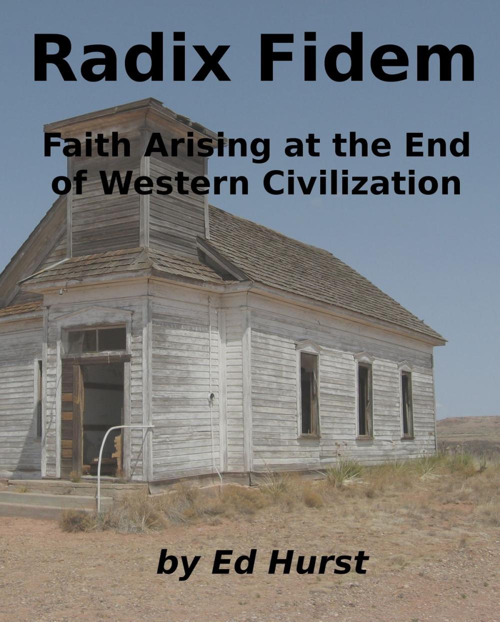 Big bigCover of Radix Fidem: Faith Arising at the End of Western Civilization