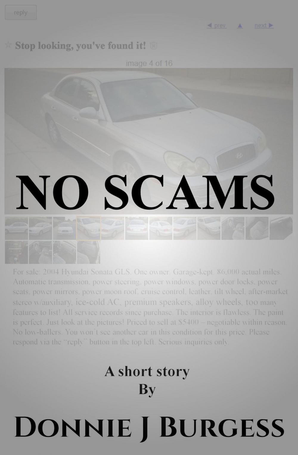 Big bigCover of No Scams