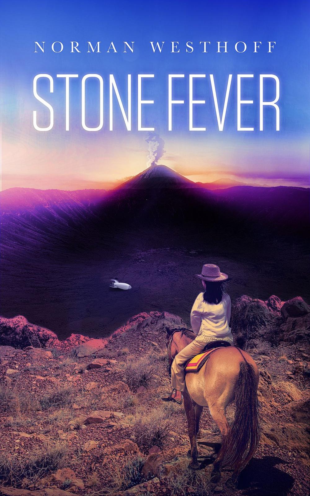 Big bigCover of Stone Fever