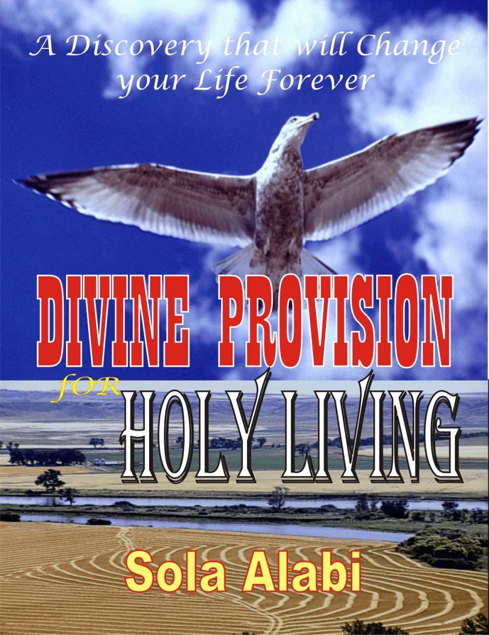 Big bigCover of Divine Provision for Holy Living: A Discovery that will Change Your Life Forever