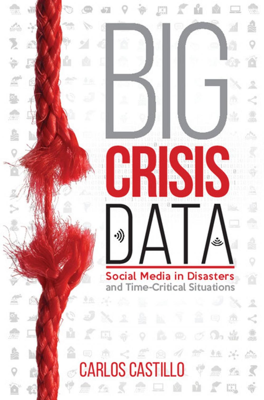 Big bigCover of Big Crisis Data