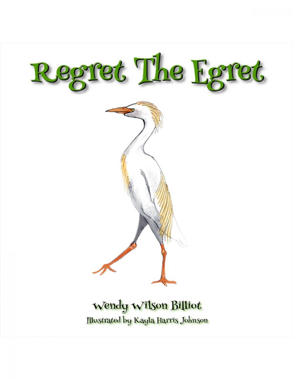 Big bigCover of Regret the Egret