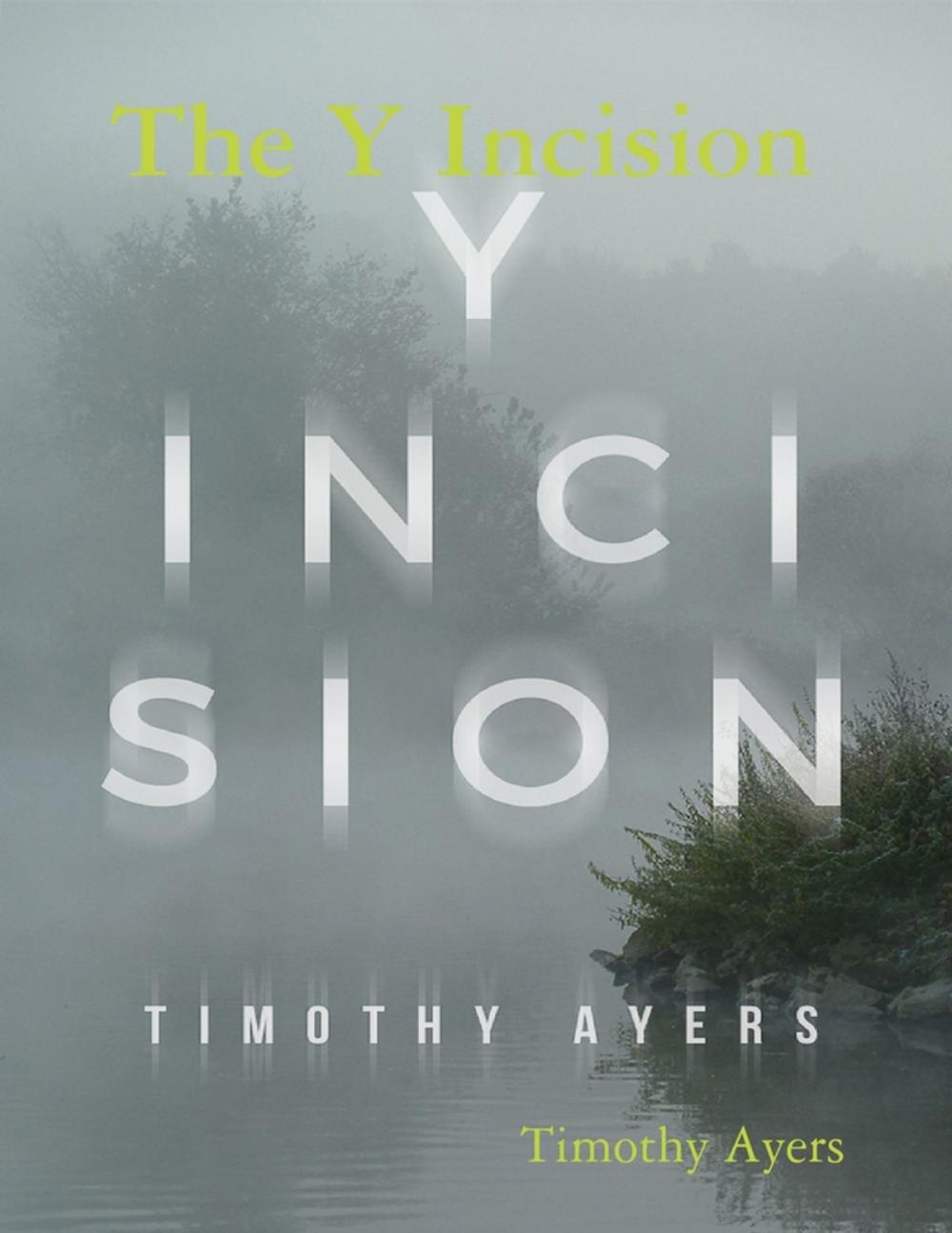 Big bigCover of The Y Incision