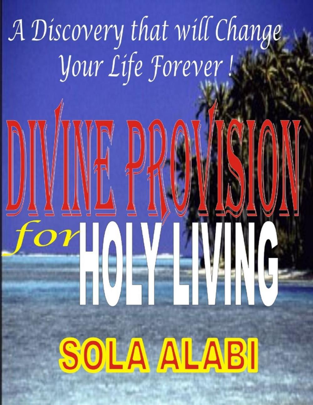 Big bigCover of Divine Provision for Holy Living