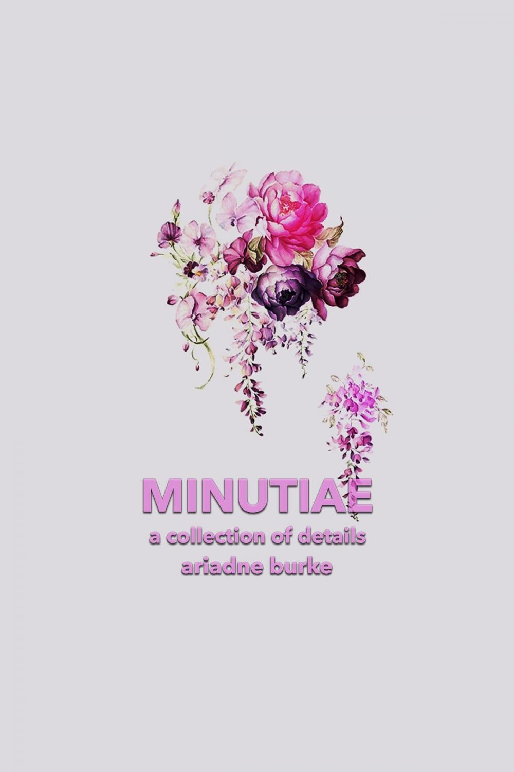 Big bigCover of Minutiae