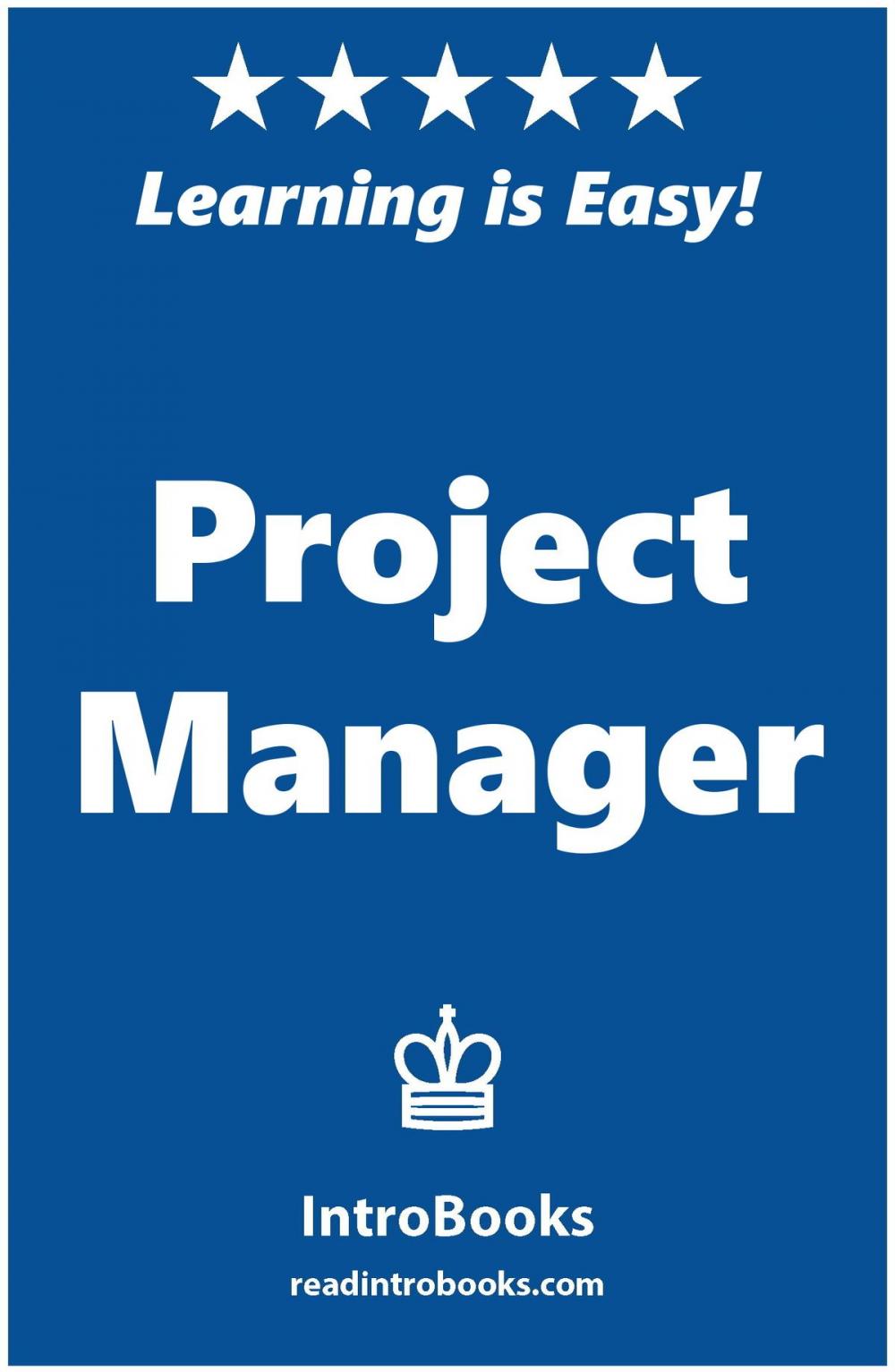 Big bigCover of Project Manager