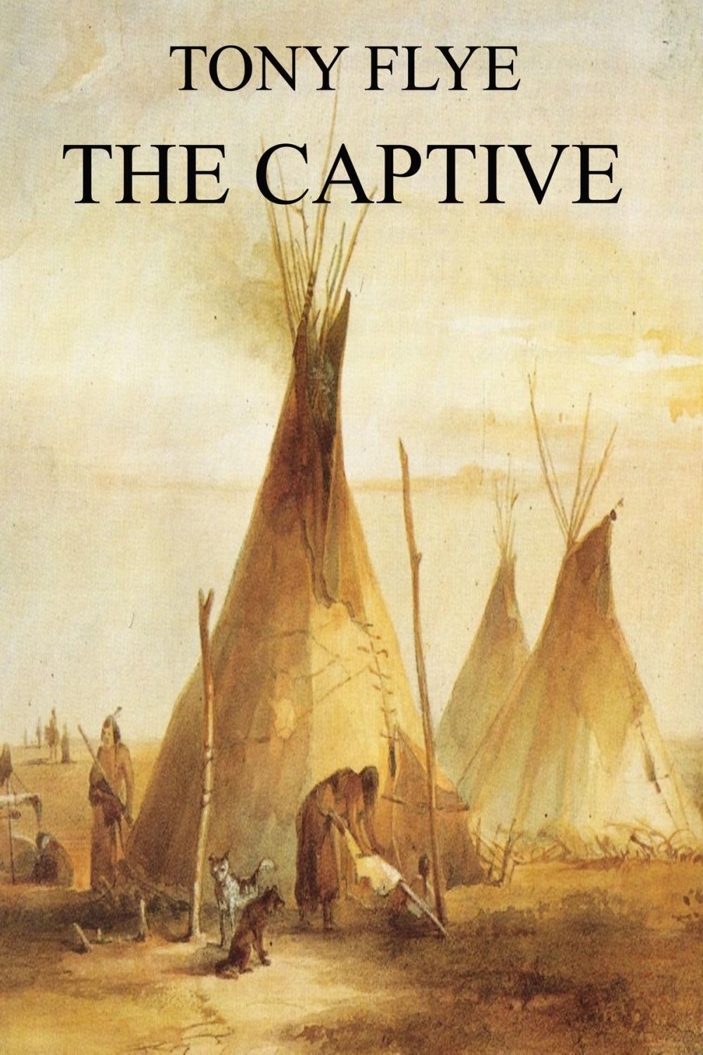 Big bigCover of The Captive