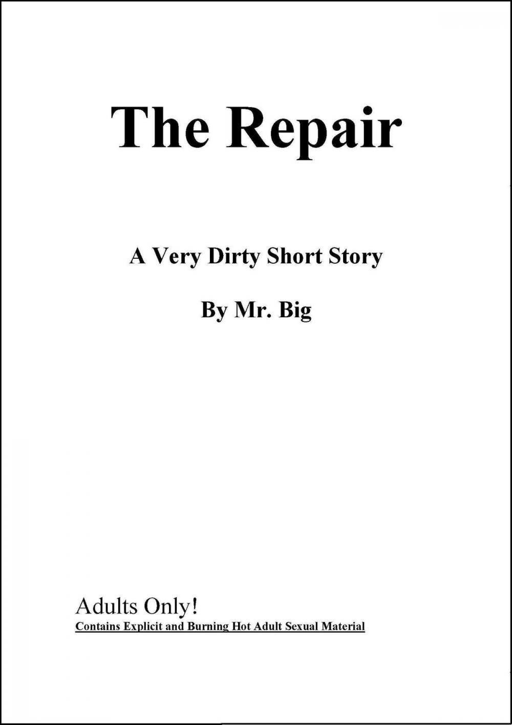 Big bigCover of The Repair