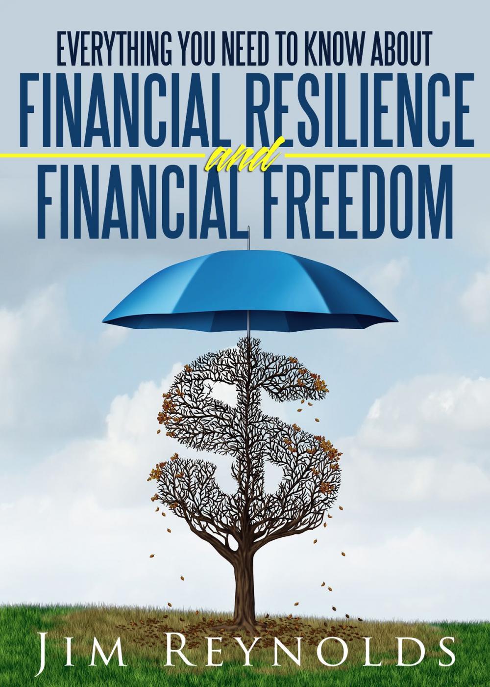 Big bigCover of Everything You Need To Know About Financial Resilience & Freedom In 30 minutes: Learn How To Make Your Personal Finances Stronger