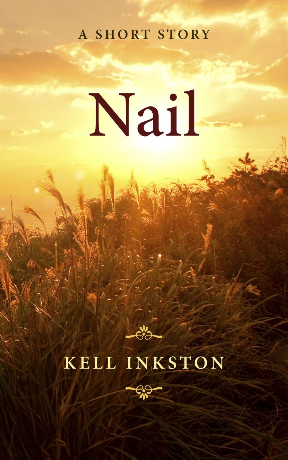 Big bigCover of Nail: A Short Story