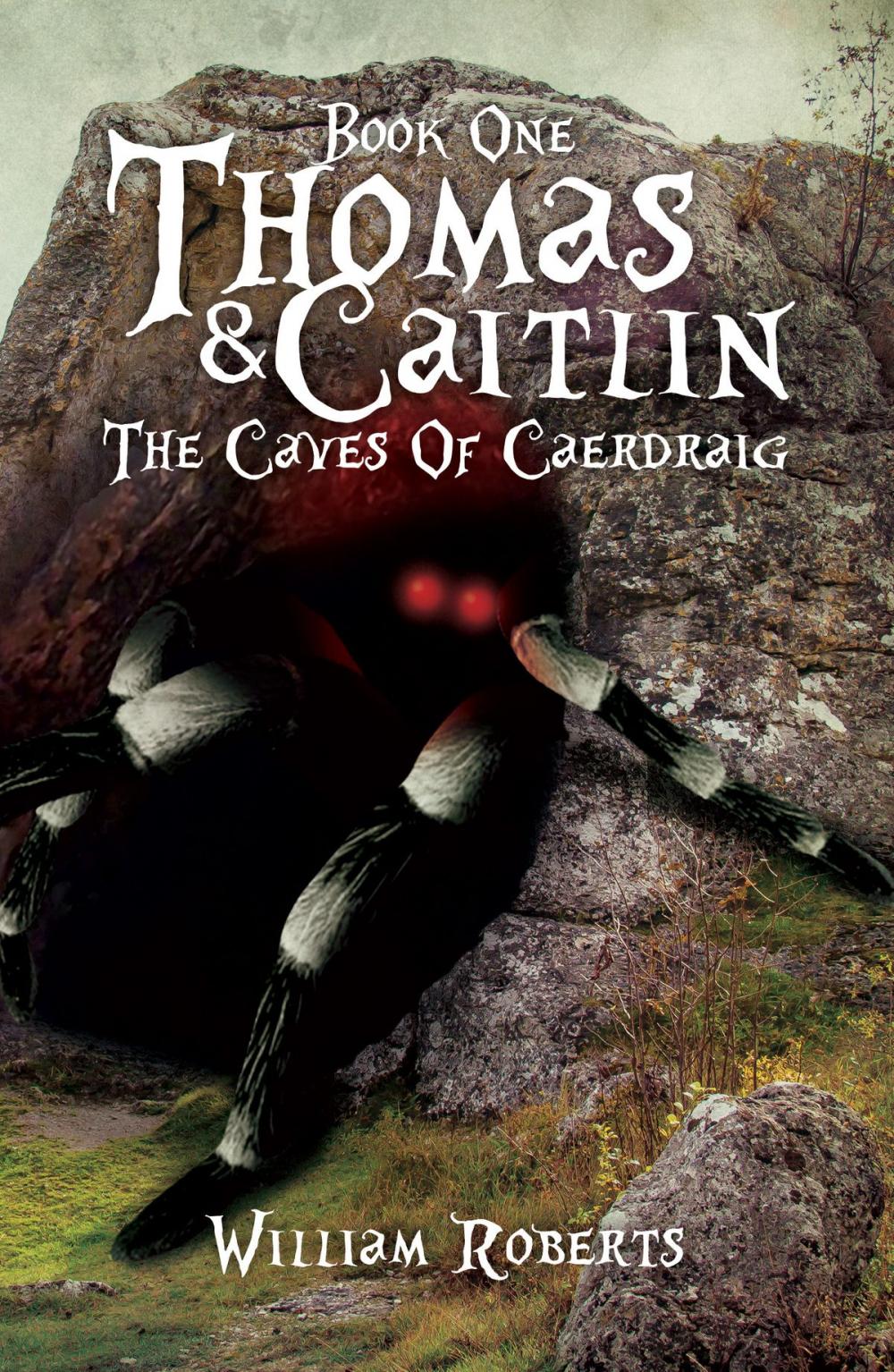 Big bigCover of Thomas And Caitlin: Book One - The Caves Of Caerdraig