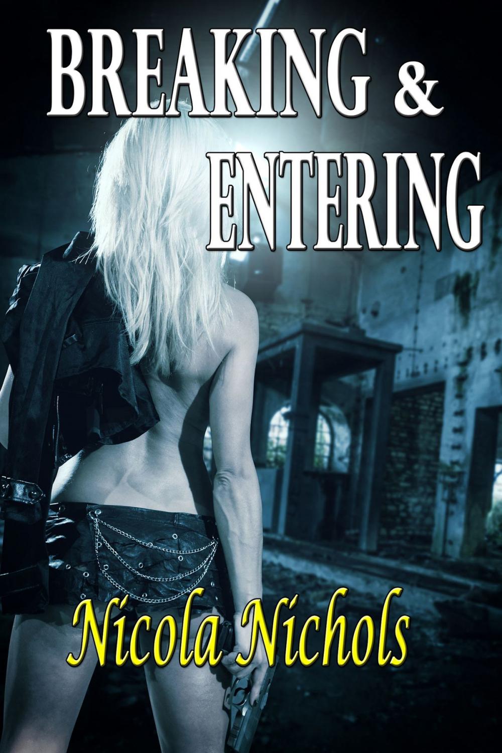 Big bigCover of Breaking & Entering