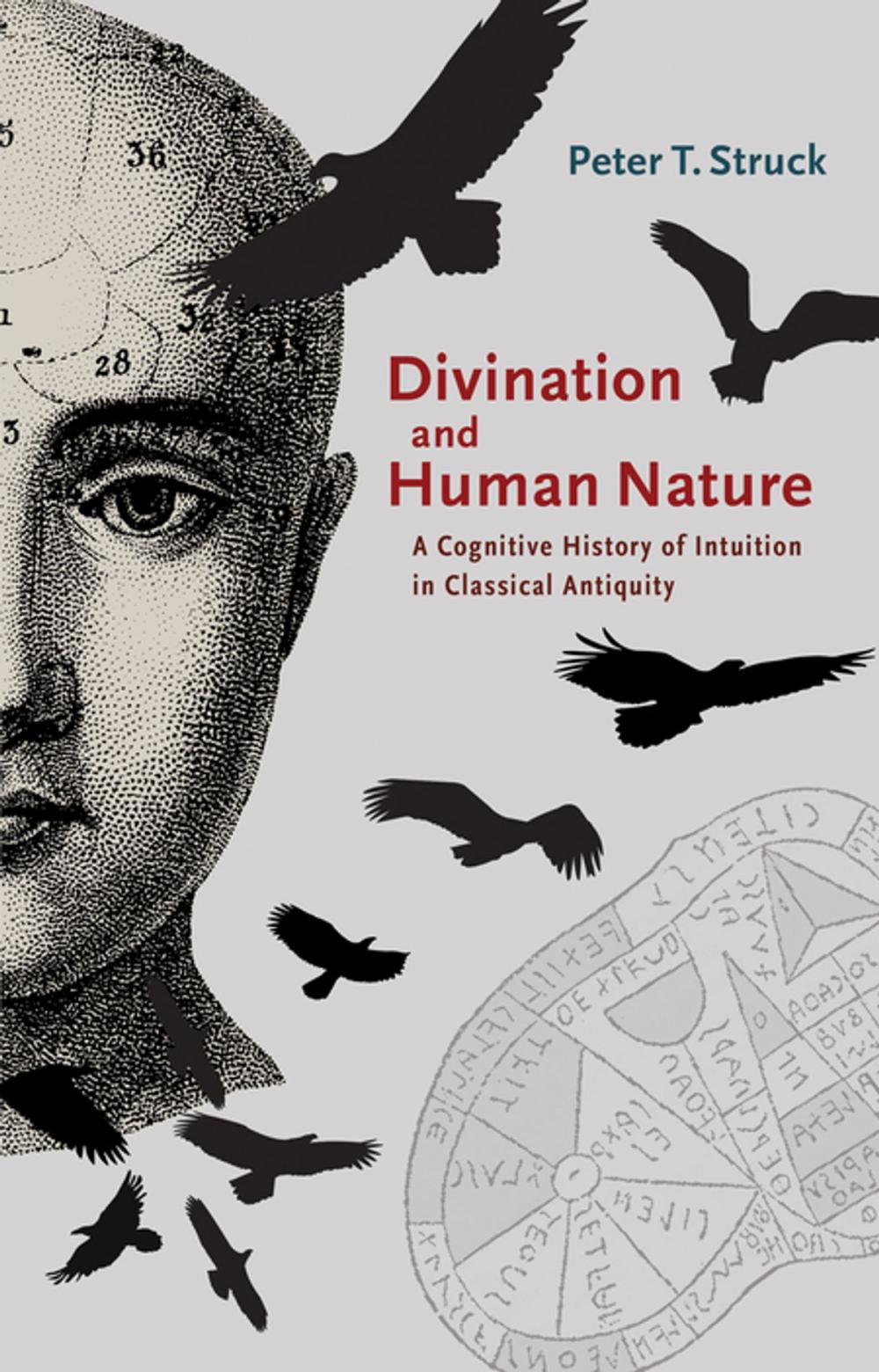 Big bigCover of Divination and Human Nature