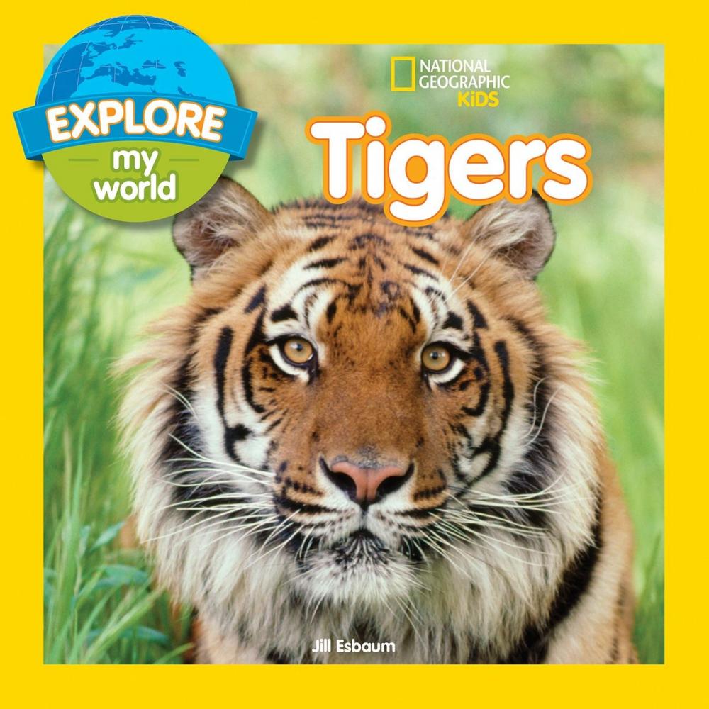 Big bigCover of Explore My World Tigers