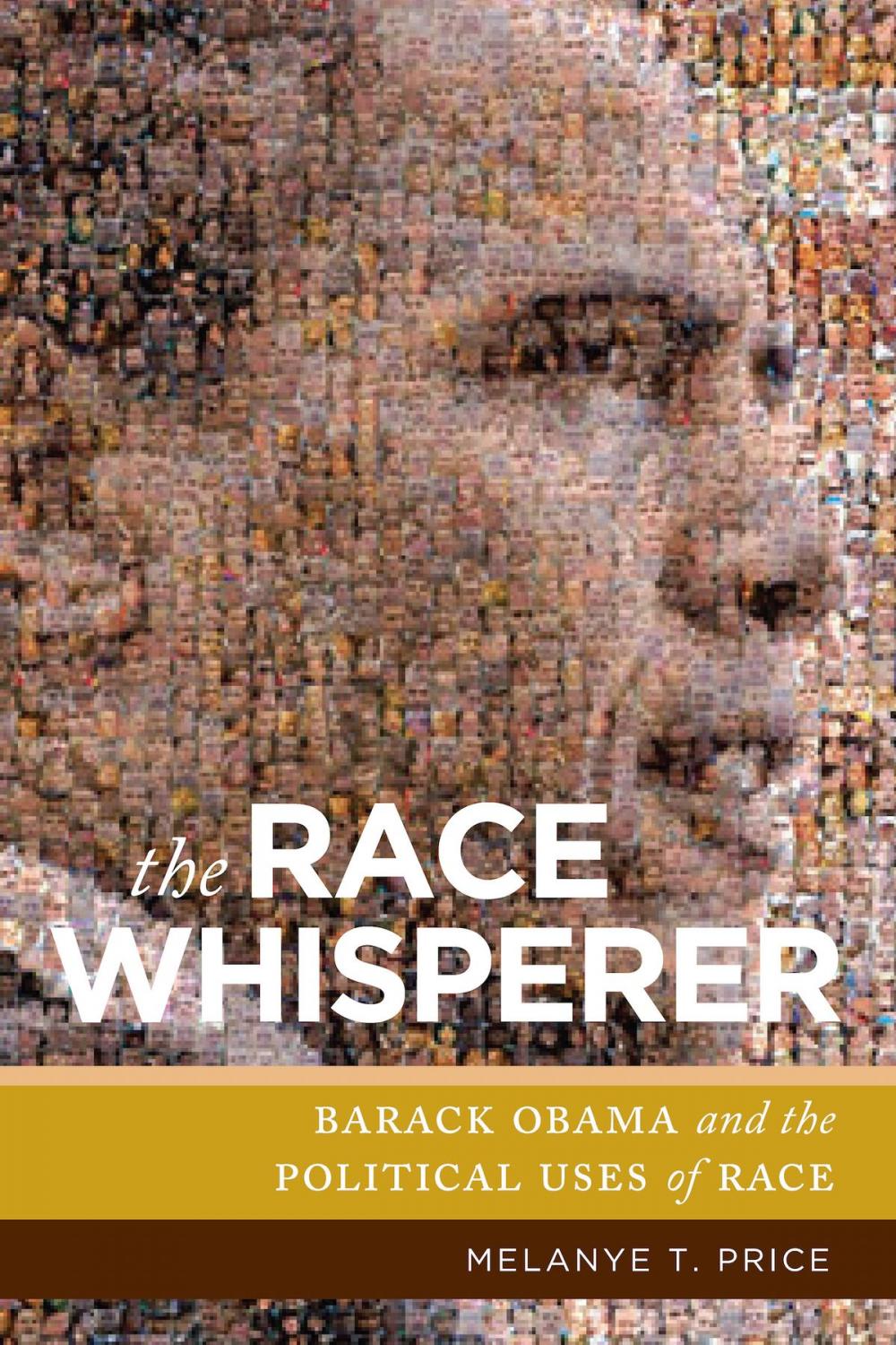 Big bigCover of The Race Whisperer