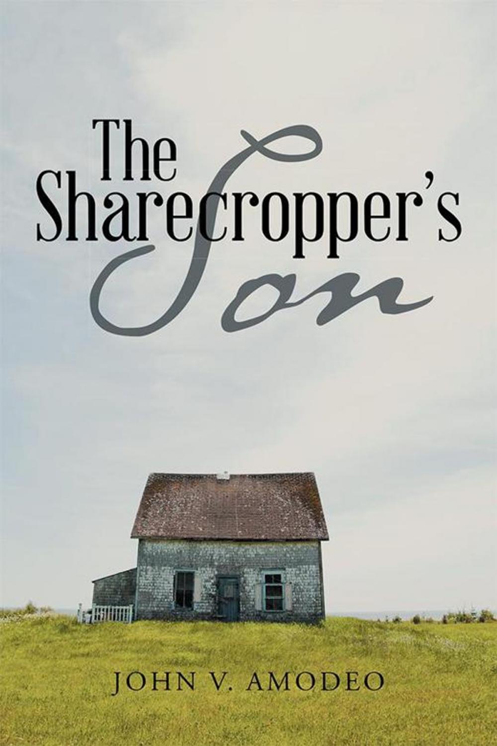 Big bigCover of The Sharecropper's Son