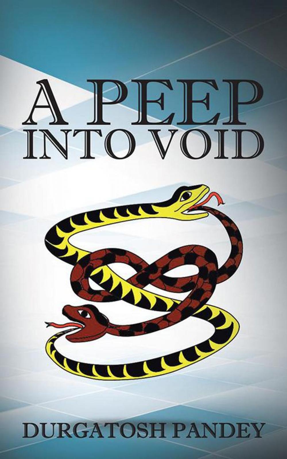 Big bigCover of A Peep into Void