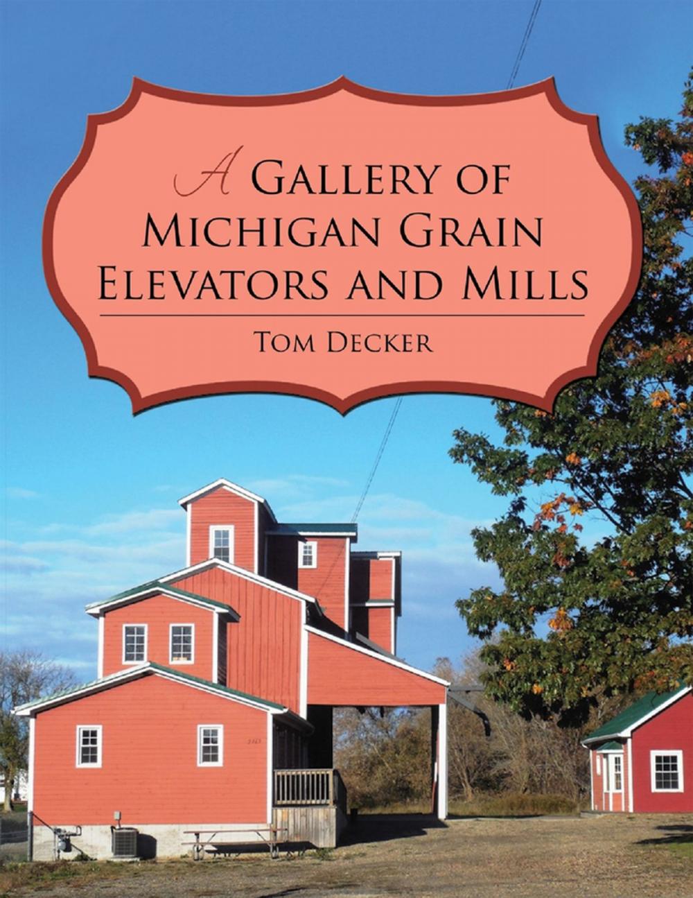 Big bigCover of A Gallery of Michigan Grain Elevators and Mills