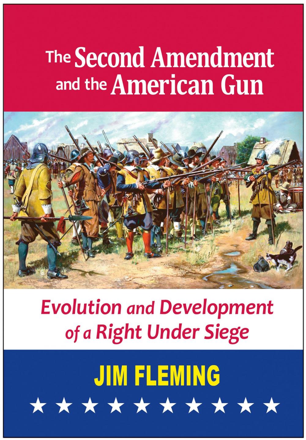 Big bigCover of The Second Amendment and the American Gun