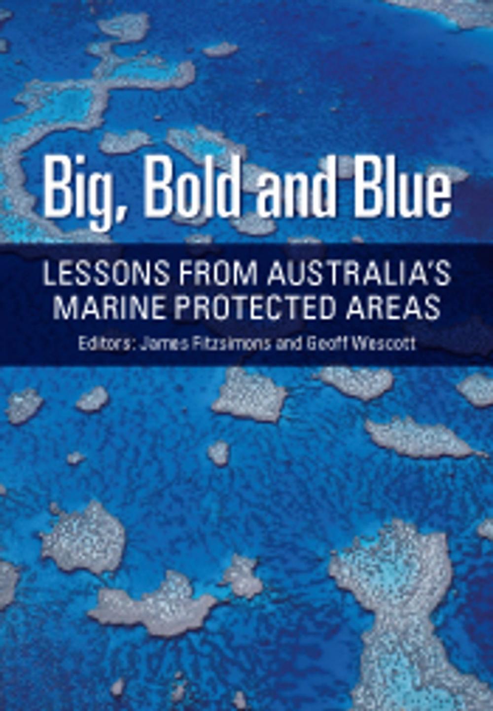 Big bigCover of Big, Bold and Blue