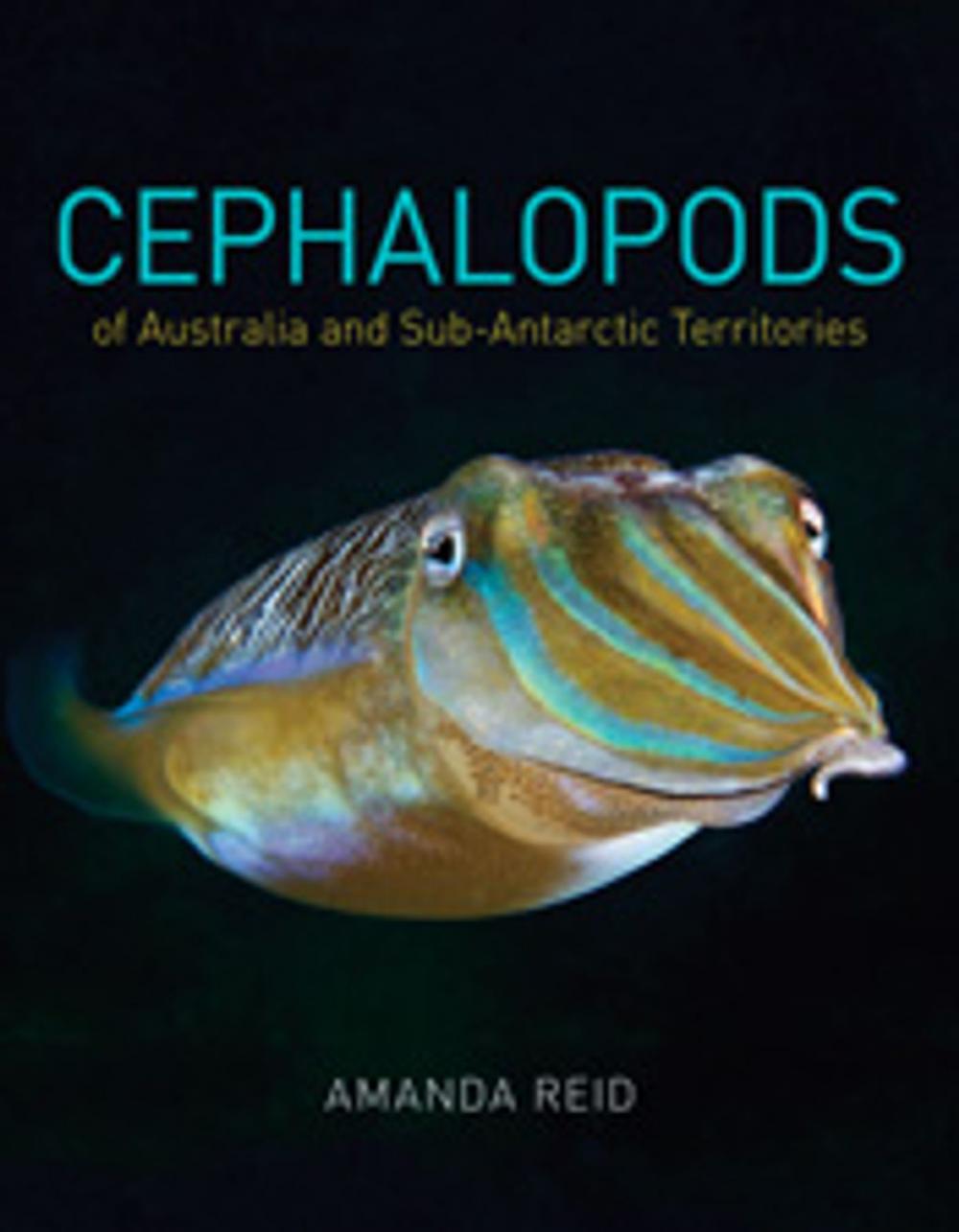 Big bigCover of Cephalopods of Australia and Sub-Antarctic Territories