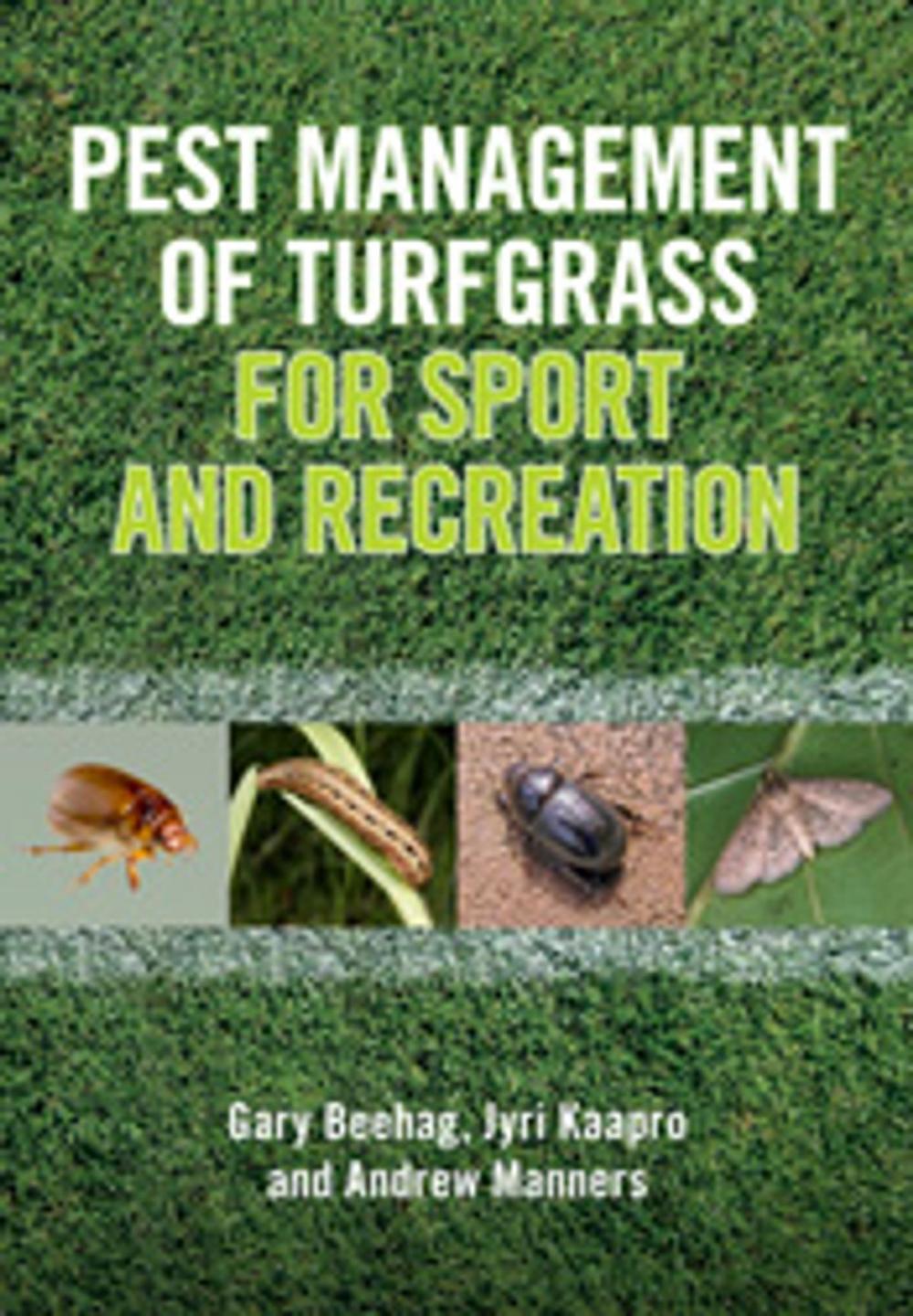 Big bigCover of Pest Management of Turfgrass for Sport and Recreation