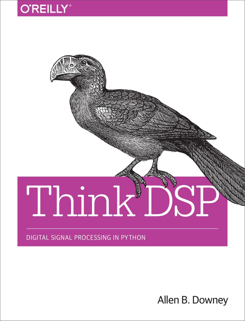 Big bigCover of Think DSP