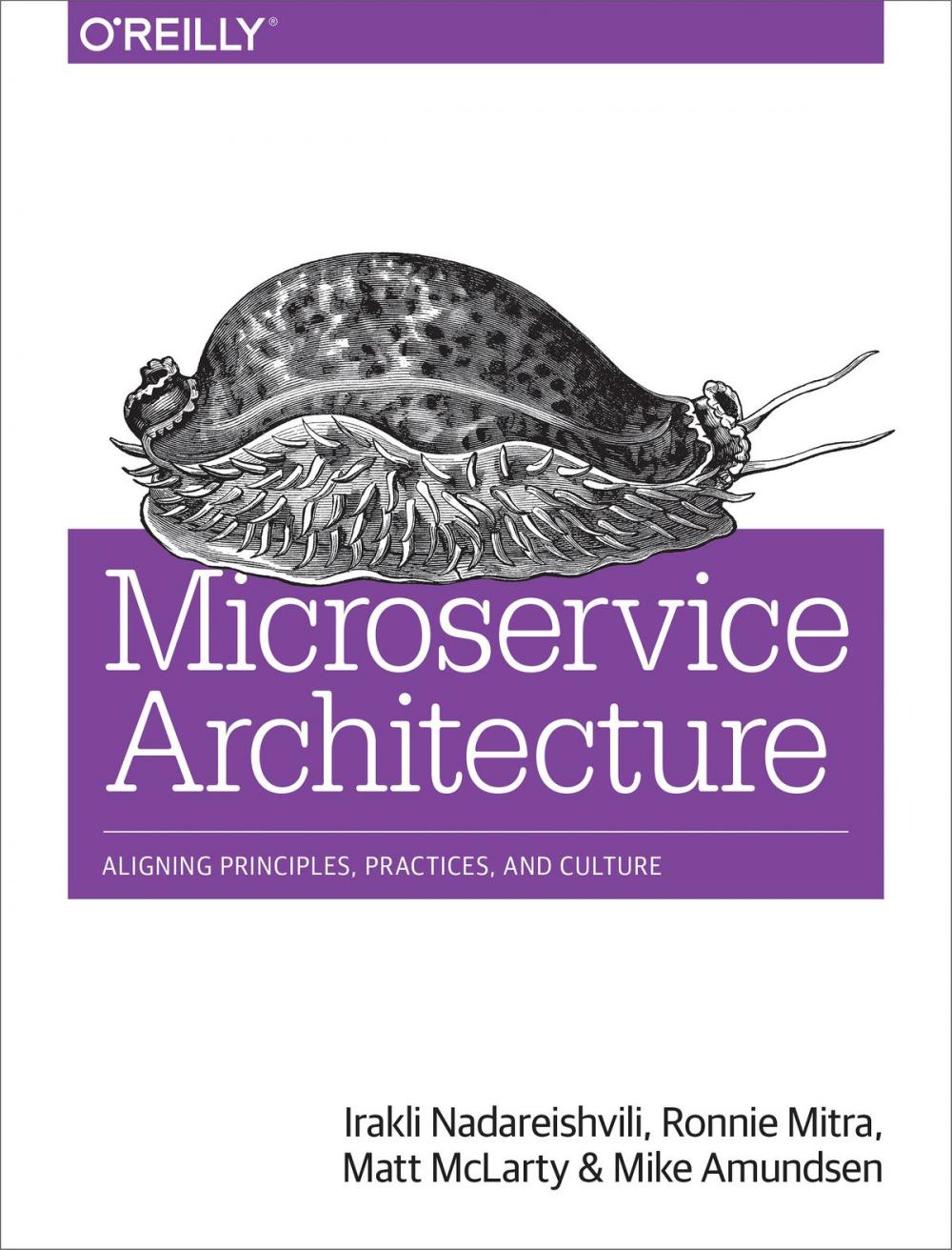 Big bigCover of Microservice Architecture