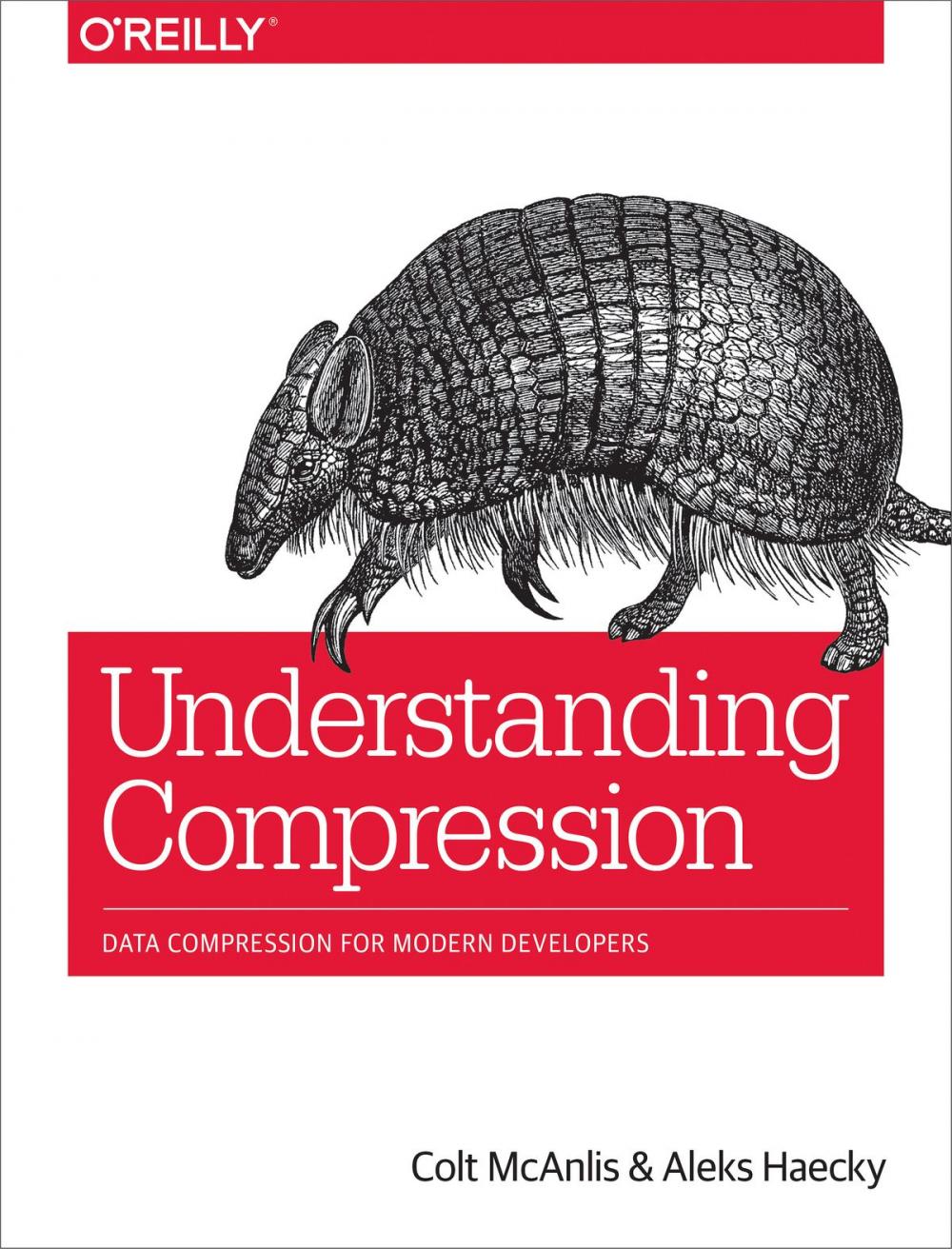 Big bigCover of Understanding Compression