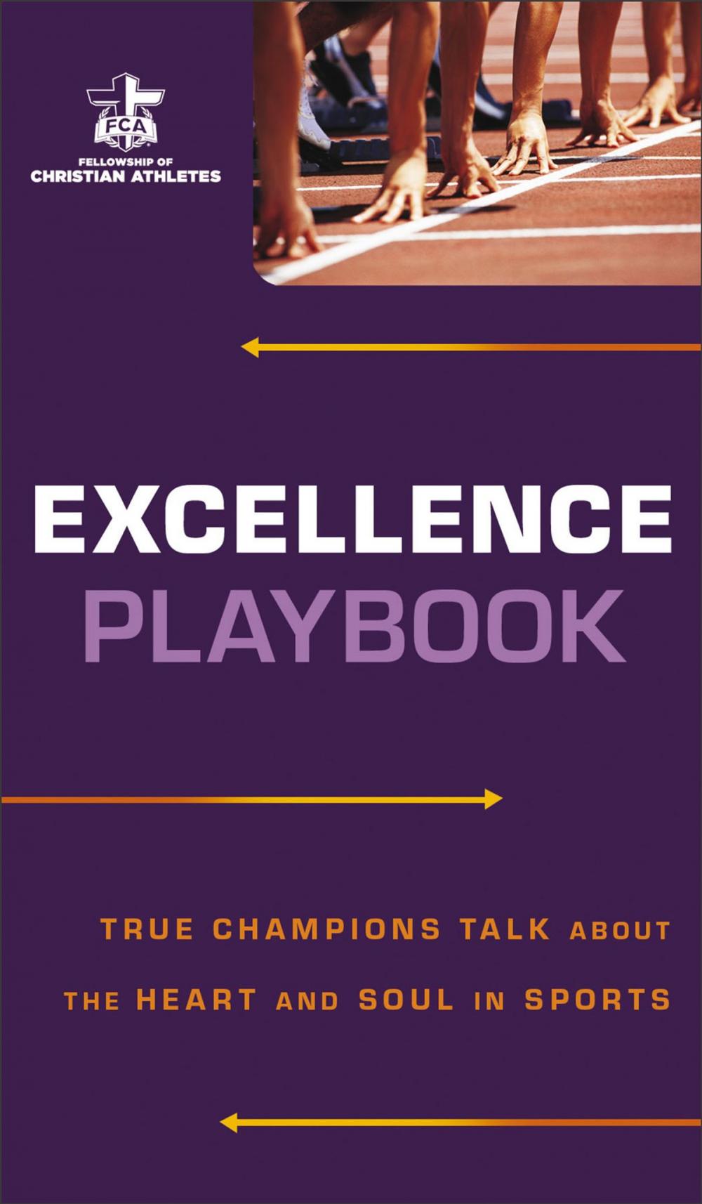 Big bigCover of Excellence Playbook