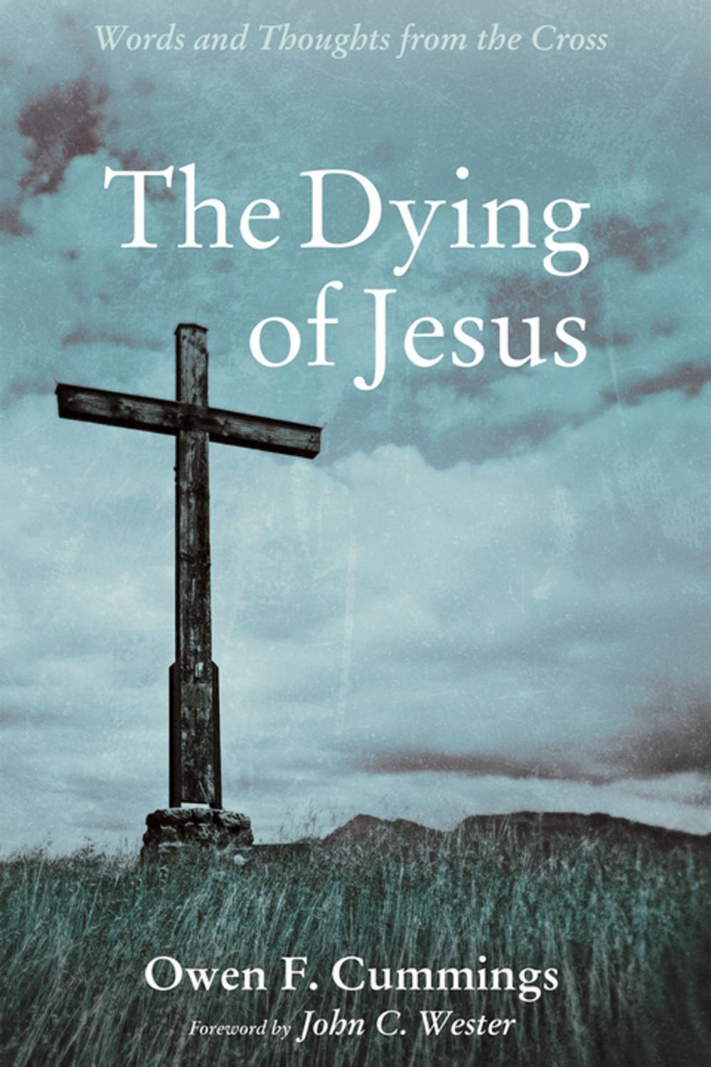 Big bigCover of The Dying of Jesus