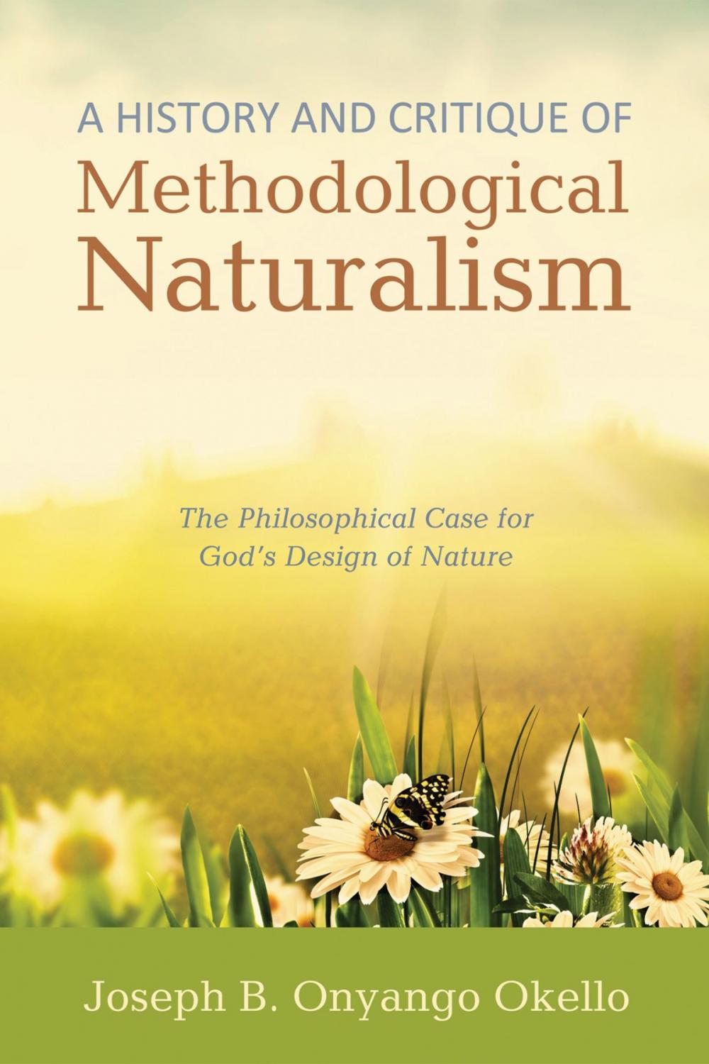 Big bigCover of A History and Critique of Methodological Naturalism