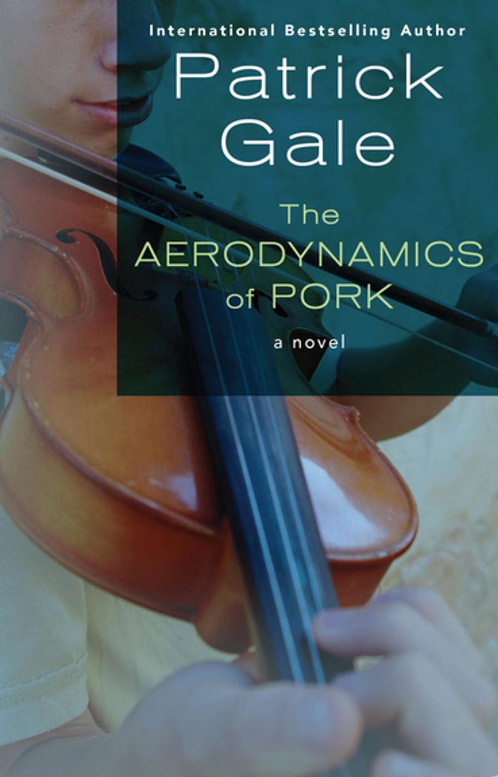 Big bigCover of The Aerodynamics of Pork