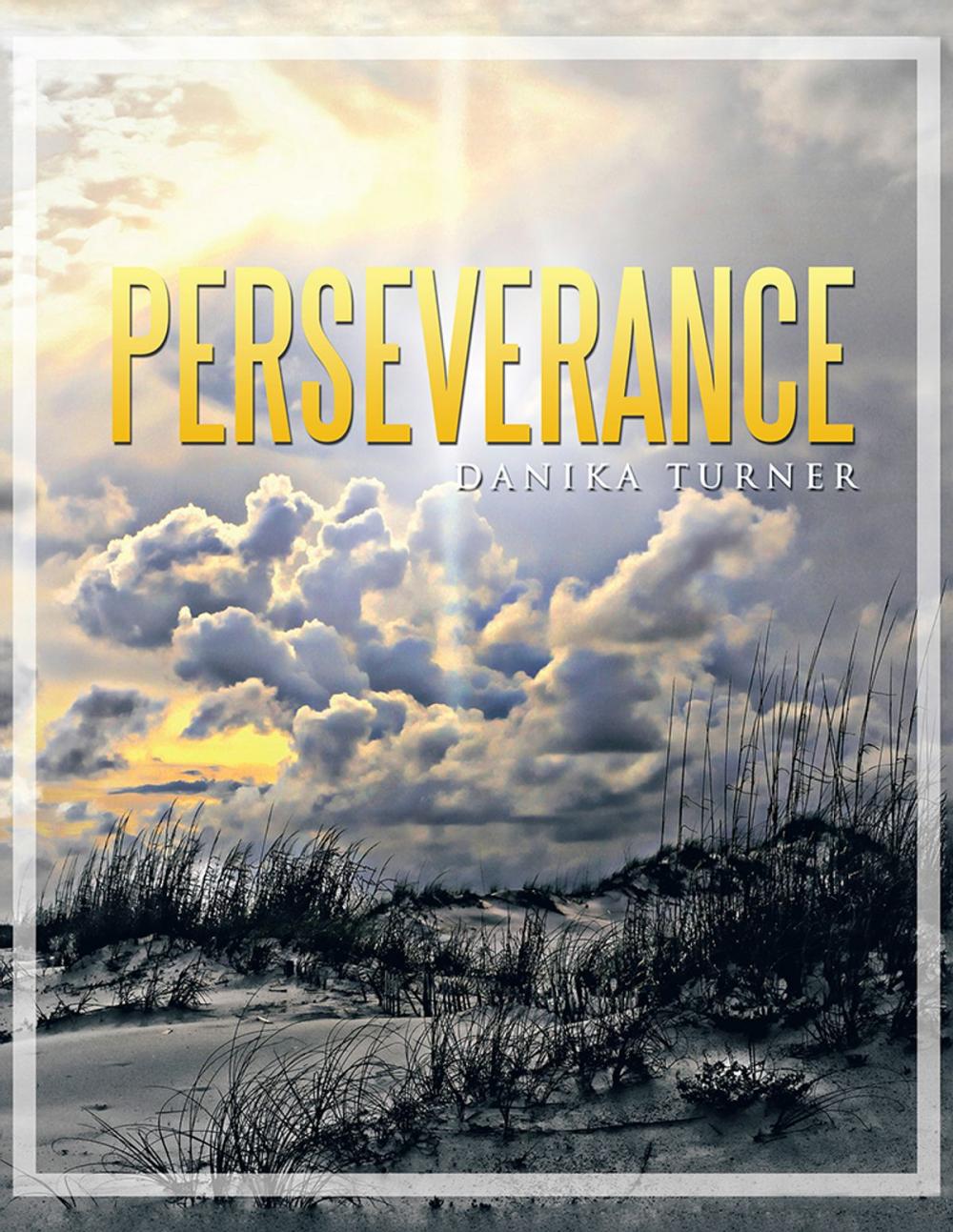 Big bigCover of Perseverance