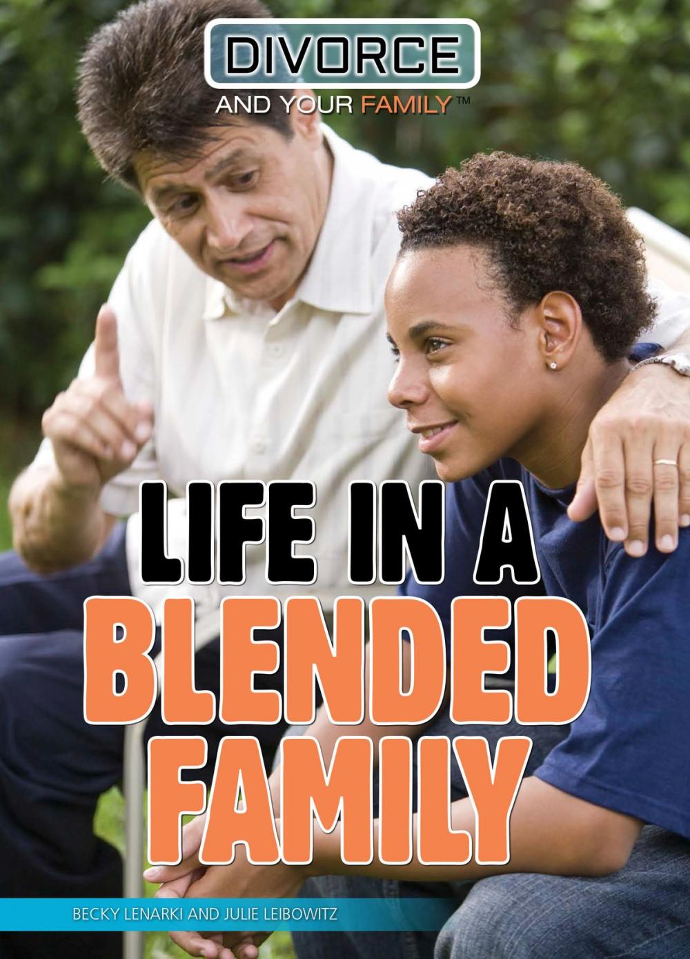 Big bigCover of Life in a Blended Family