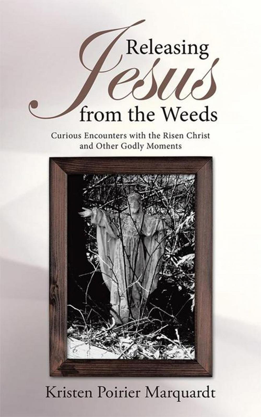 Big bigCover of Releasing Jesus from the Weeds