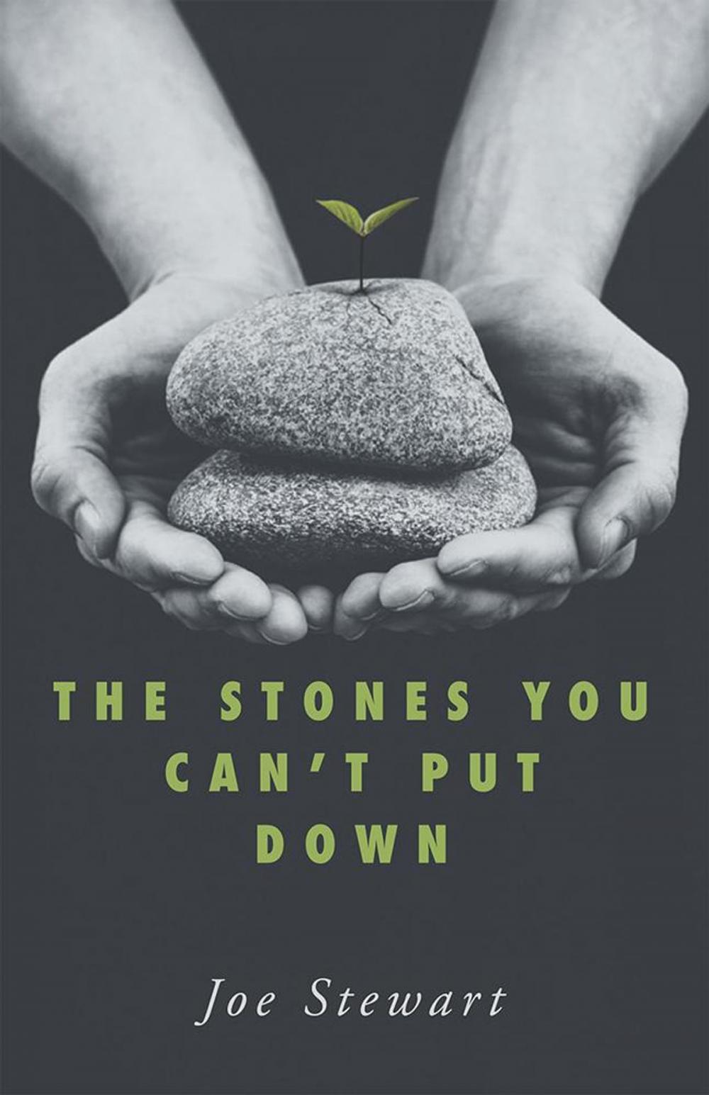 Big bigCover of The Stones You Can't Put Down