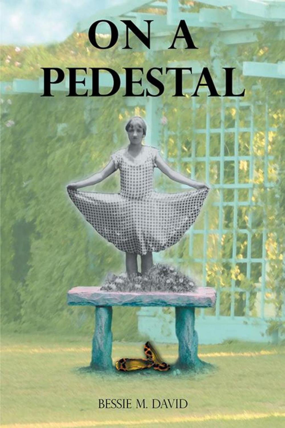 Big bigCover of On a Pedestal