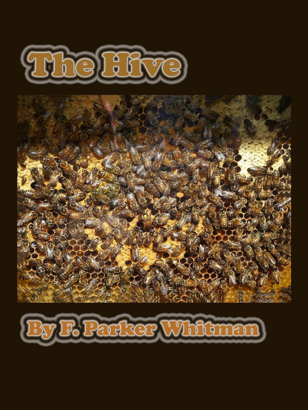 Big bigCover of The Hive