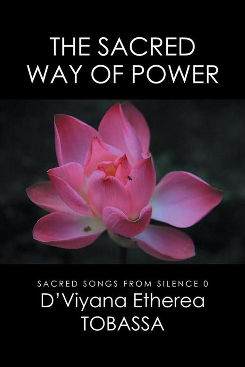 Big bigCover of The Sacred Way of Power