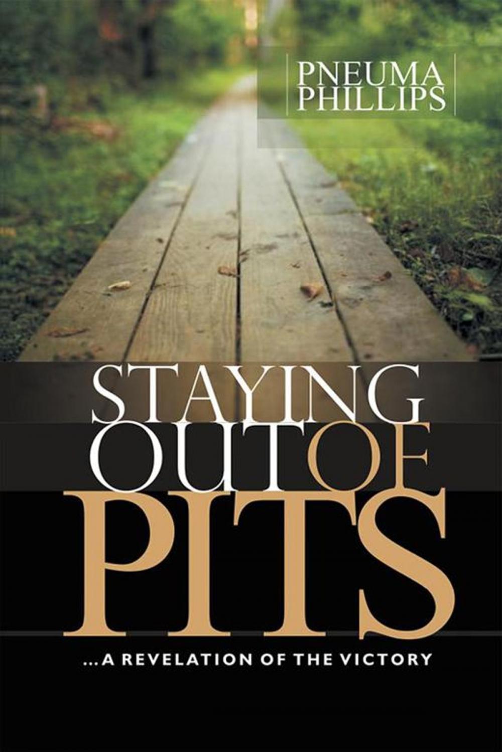 Big bigCover of Staying out of Pits