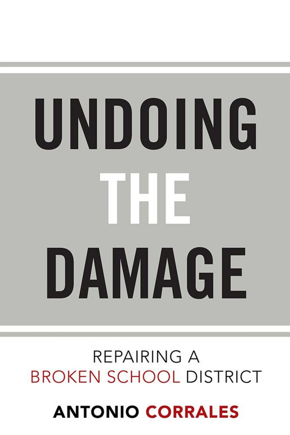 Big bigCover of Undoing the Damage: Repairing a Broken School District