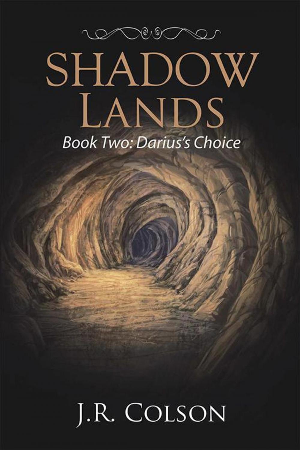 Big bigCover of Shadow Lands